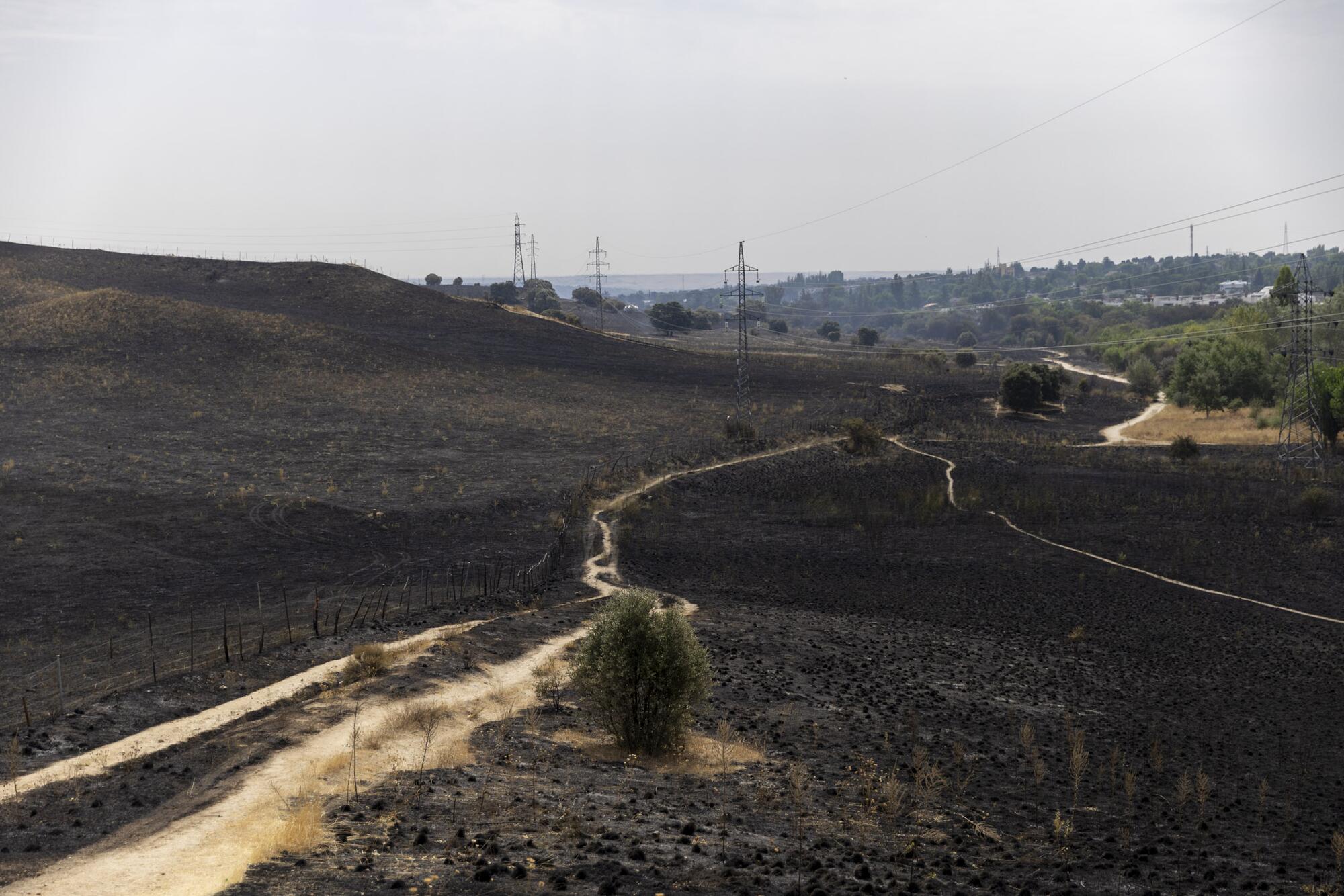 Incendio Tres Cantos - 5